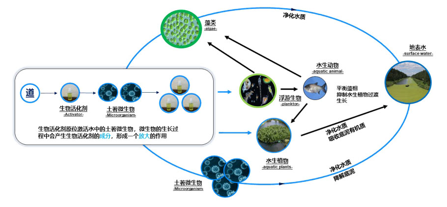 生物活化剂